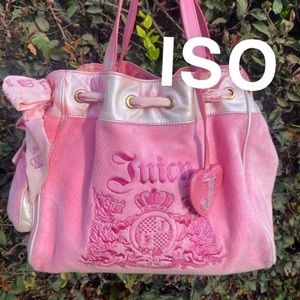 🎀ISO🎀 juicy couture daydreamer bag!
